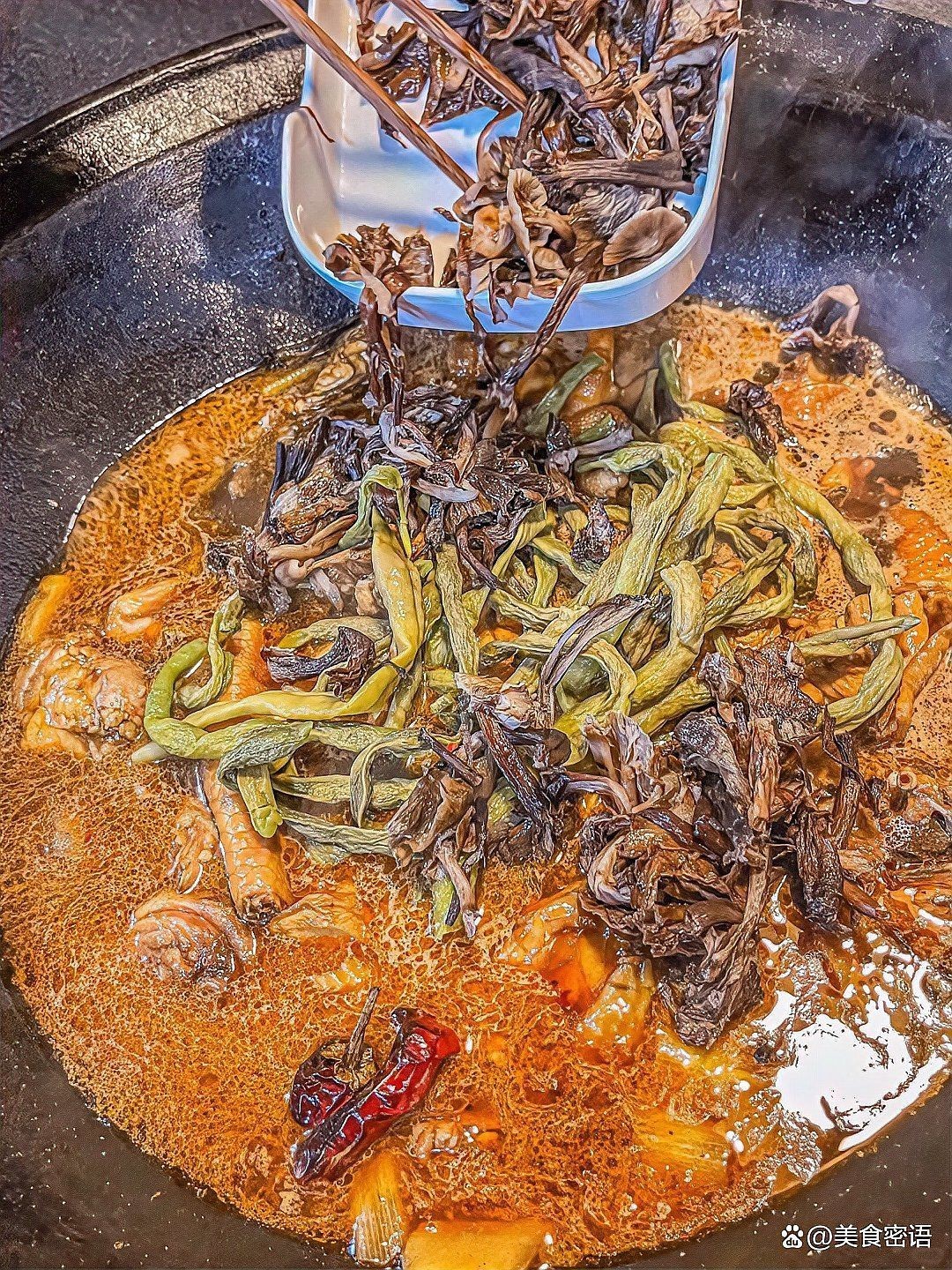 白山龍魚店：白山地區與“龍魚”相關的店鋪主要有兩類信息可供參考