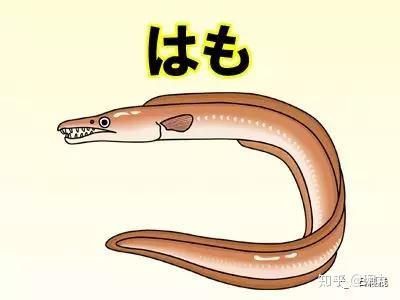 很多小刺的鰻魚是假的嗎：鰻魚“小刺多”的現象及選購技巧及選購技巧及選購技巧