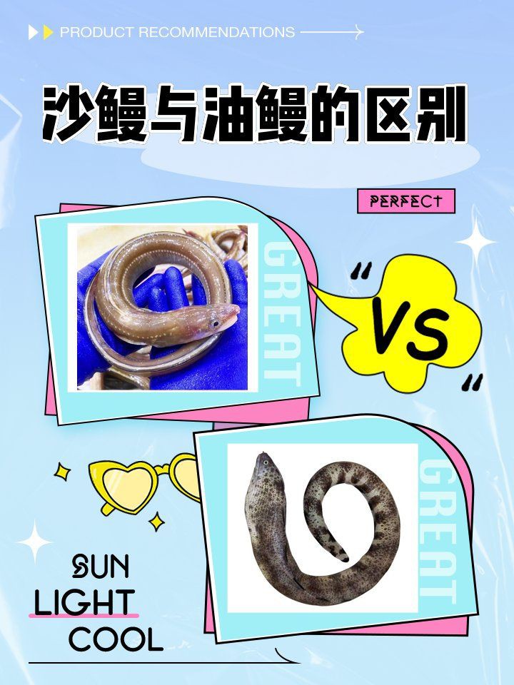 很多小刺的鰻魚是假的嗎：鰻魚“小刺多”的現象及選購技巧及選購技巧及選購技巧