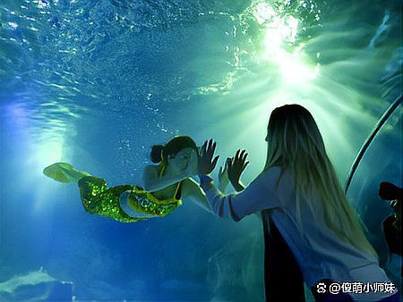 蘭州水族店：蘭州哪家水族店口碑最好