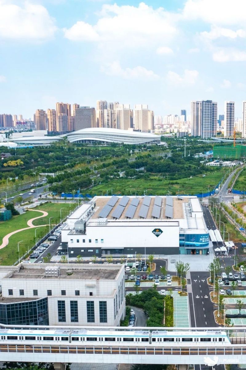 東西湖龍魚店：東西湖龍魚店開業啦！