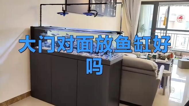 開門見魚缸的化解方法：開門見魚缸在風水上存在較多爭議