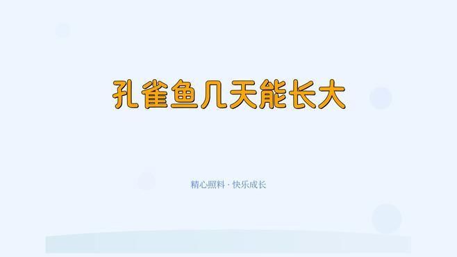 孔雀魚幾個月開始猛長：《孔雀魚2月齡成長對照表星際的潛水員lucy