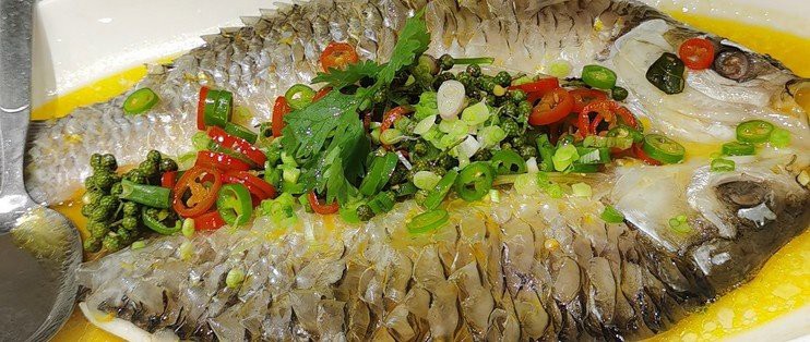 上海忘不了魚多少錢一斤:天價珍饈美食忘不了魚 龍魚論壇 第4張 上海忘不了魚多少錢一斤:天價珍饈美食忘不了魚 上海忘不了魚多少錢一斤:天價珍饈美食忘不了魚 龍魚論壇 第4張