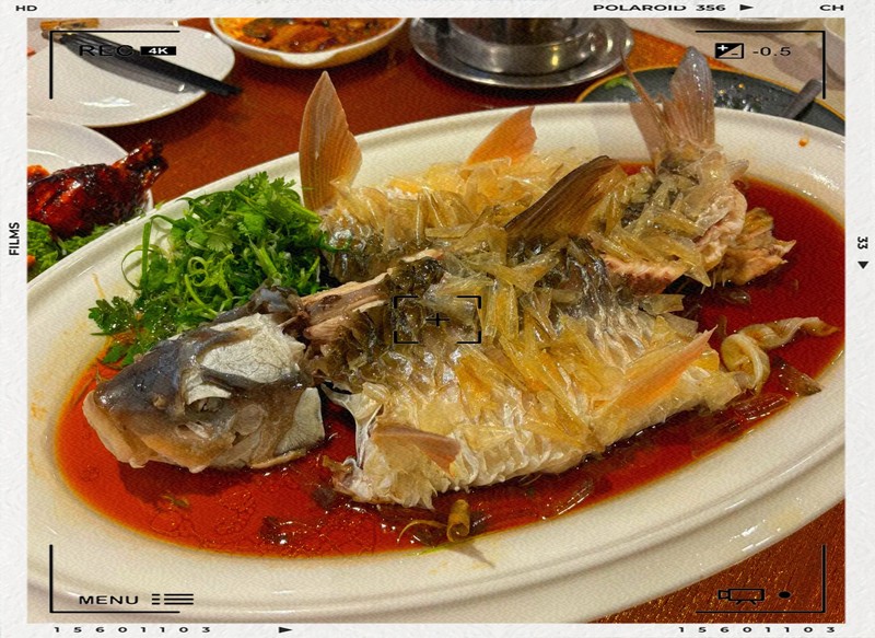 上海忘不了魚多少錢一斤：天價珍饈美食忘不了魚 上海忘不了魚多少錢一斤：天價珍饈美食忘不了魚 龍魚論壇 第8張