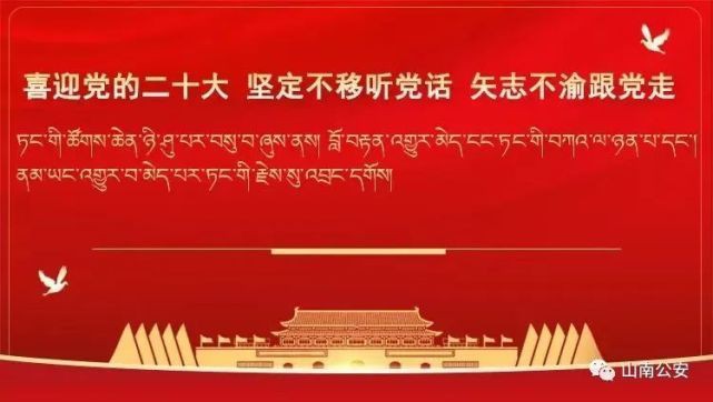 民族團結56個民族的特點:中國56個民族有哪五十六個民族各個民族有什么文化特點 龍魚百科 第4張 民族團結56個民族的特點:中國56個民族有哪五十六個民族各個民族有什么文化特點 民族團結56個民族的特點:中國56個民族有哪五十六個民族各個民族有什么文化特點 龍魚百科 第4張