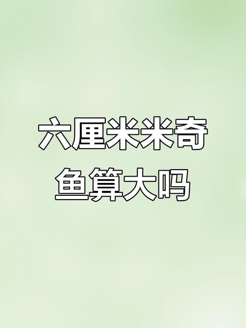 6厘米魚參照物圖片：小鬼王的十天蛻變小白bibo微里楠