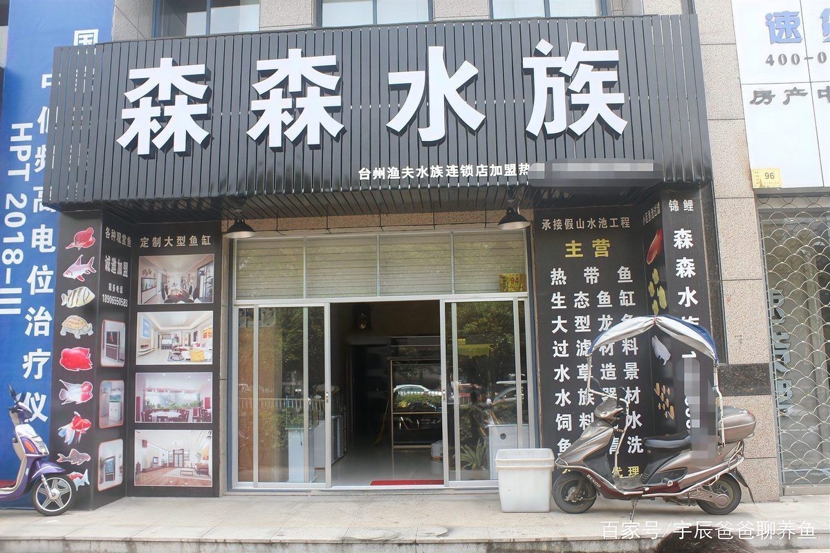 會同水族店：會同縣的水族店以“會同禧歡花藝水族館”為代表為代表 會同水族店：會同縣的水族店以“會同禧歡花藝水族館”為代表為代表 全國水族館企業(yè)名錄 第2張