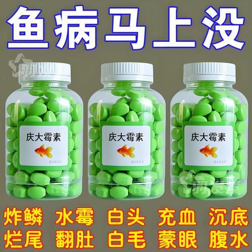 提供幾張龍魚爛鰓的圖片：養魚大全，龍魚爛鰓病