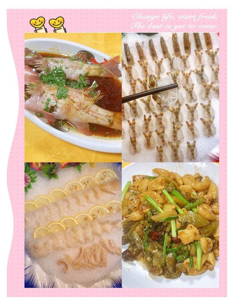 江門龍魚店：關于江門龍魚店的相關信息