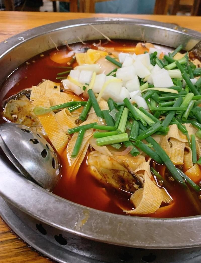 江門龍魚店：關于江門龍魚店的相關信息