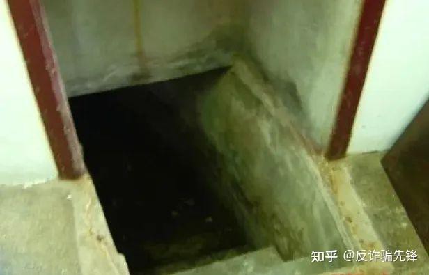 東南亞有狼嗎：東南亞地區是否存在狼的問題