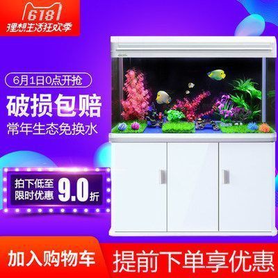 惠州龍魚店：關于惠州龍魚店的綜合信息