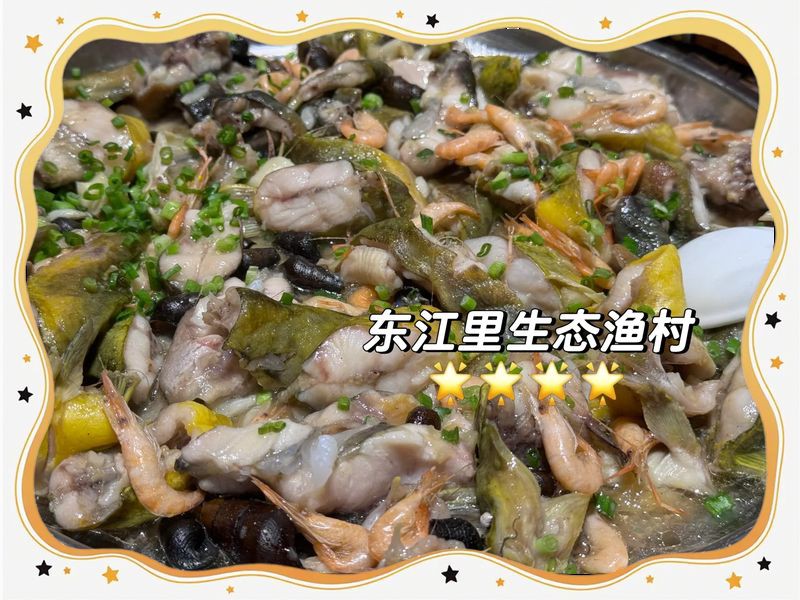 惠州龍魚店：關于惠州龍魚店的綜合信息
