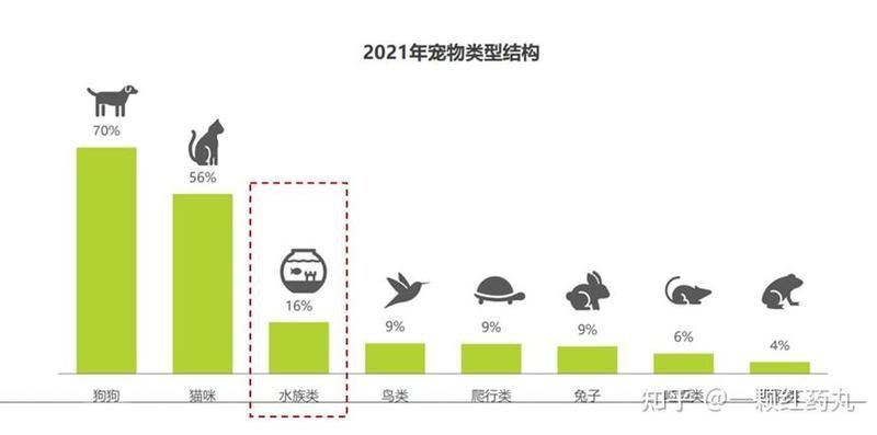 荊門魚缸批發(fā)市場(chǎng)：荊門魚缸批發(fā)市場(chǎng)分析