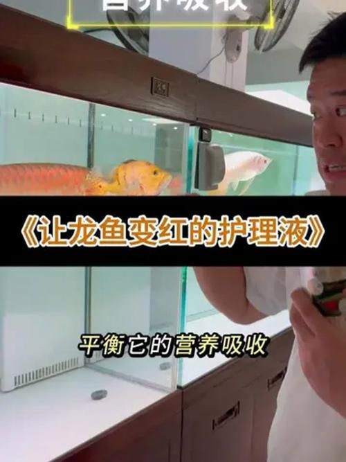提供幾張龍魚(yú)鱗片發(fā)黑的圖片：——鱗片發(fā)黑問(wèn)題