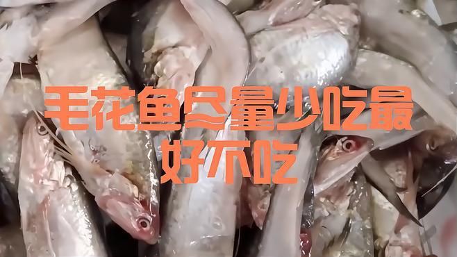 毛刀魚為何盡量少吃：毛刀魚的健康風險
