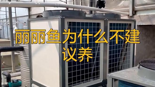 麗麗魚為什么不建議養(yǎng):麗麗魚為什么不建議養(yǎng)老王聊寵物麗麗魚為什么不建議養(yǎng)老王聊寵物 龍魚百科 第1張 麗麗魚為什么不建議養(yǎng):麗麗魚為什么不建議養(yǎng)老王聊寵物麗麗魚為什么不建議養(yǎng)老王聊寵物 麗麗魚為什么不建議養(yǎng):麗麗魚為什么不建議養(yǎng)老王聊寵物麗麗魚為什么不建議養(yǎng)老王聊寵物 龍魚百科 第1張