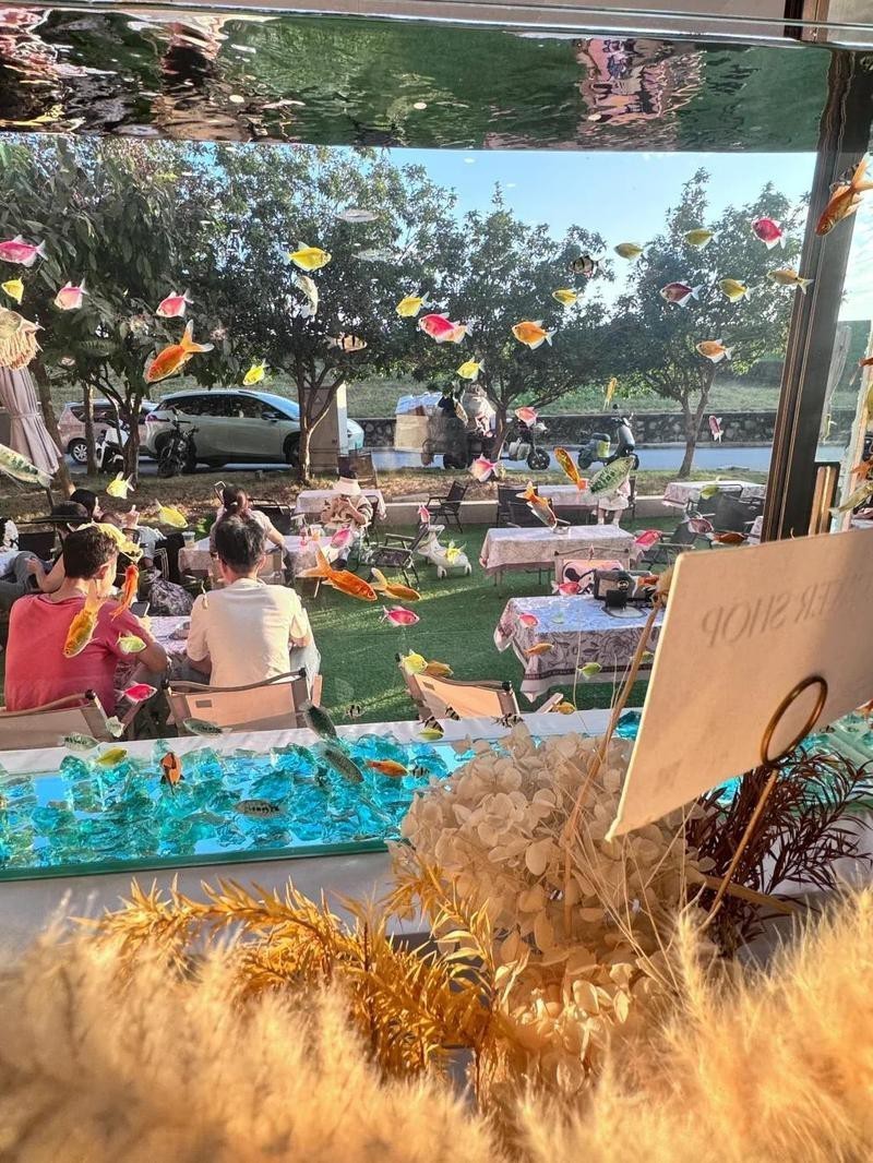 三水水族店：佛山市三水區主要水族店哪家口碑最好小觀園水族館有哪些特色品種