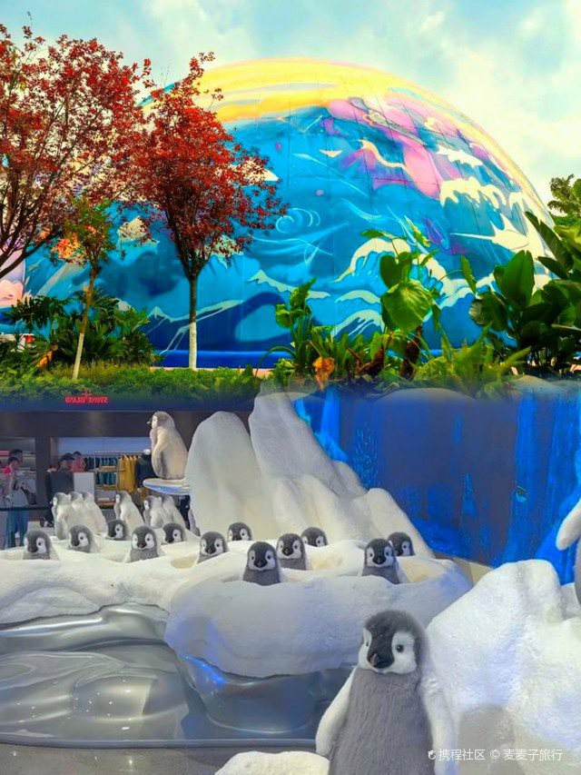 雙流水族店：*《雙流水族店》*，雙流水族店