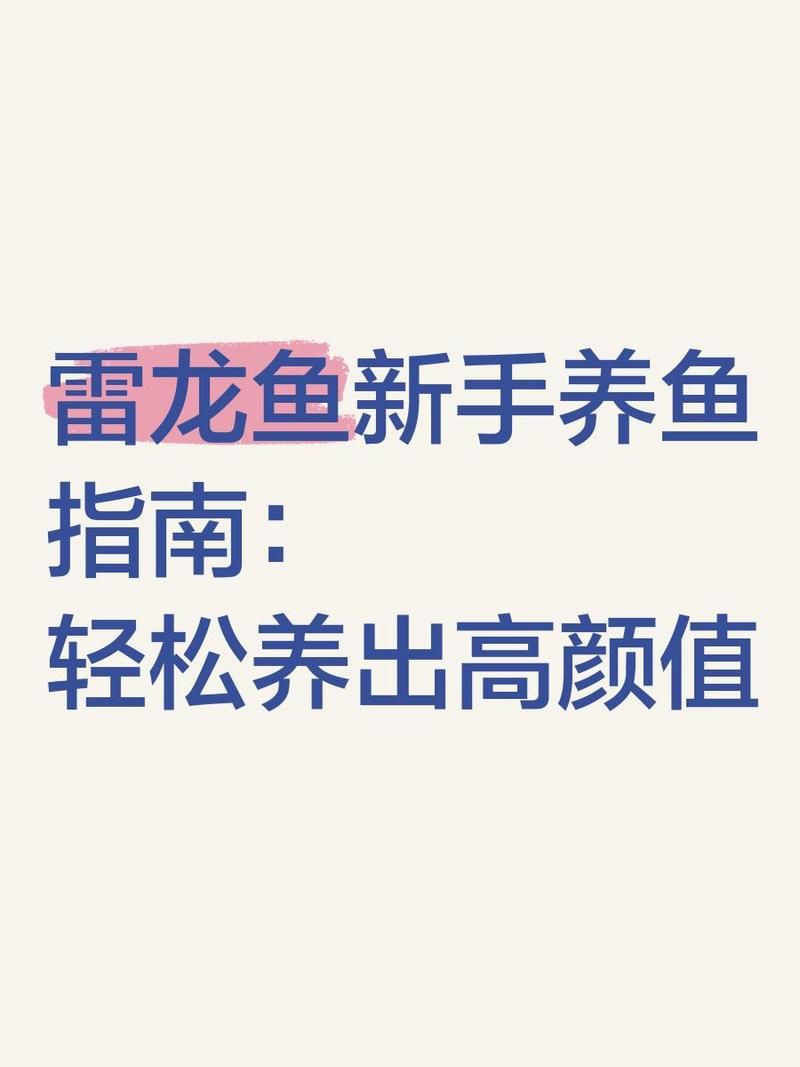 夢幻雷龍魚最簡單三個步驟：夢幻雷龍魚新手養護指南:新手養雷龍魚的三大誤區