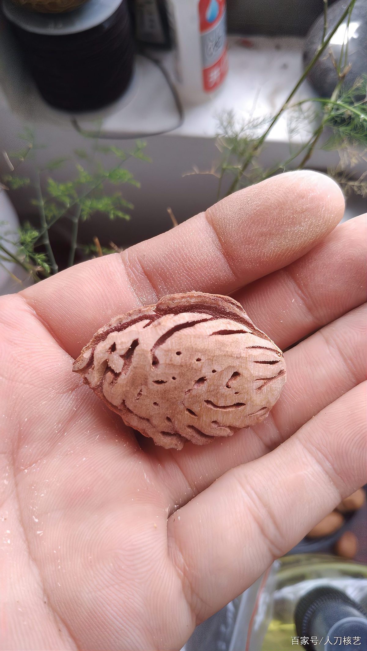 人工雕刻魚圖片：“人工雕刻魚圖片”展現了傳統手工藝與藝術創作的精妙融合