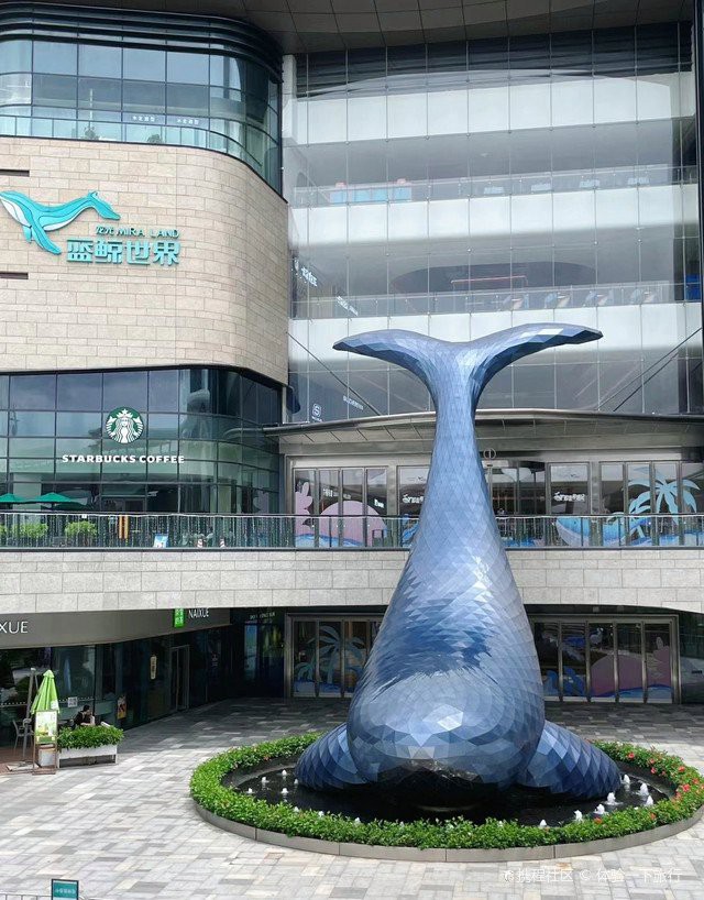 光明水族店：光明水族店的營(yíng)業(yè)時(shí)間是光明水族店有哪些特色產(chǎn)品 光明水族店：光明水族店的營(yíng)業(yè)時(shí)間是光明水族店有哪些特色產(chǎn)品 全國(guó)水族館企業(yè)名錄 第2張