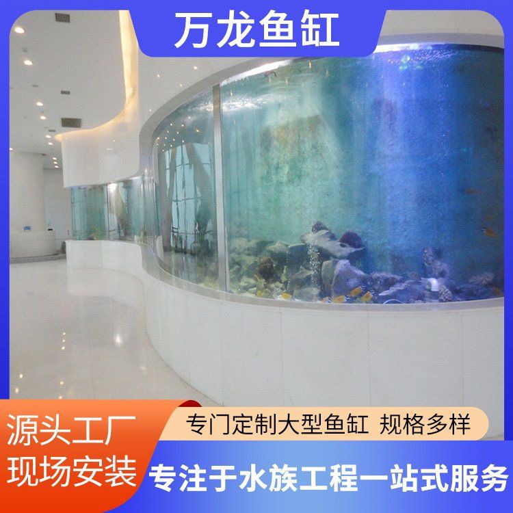 貴陽魚缸批發(fā)市場：貴陽魚缸批發(fā)市場發(fā)展趨勢