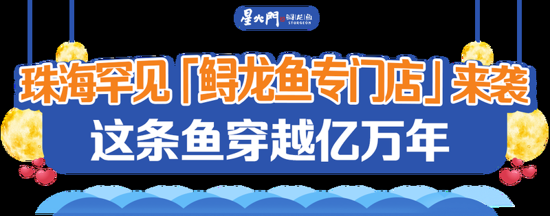 右玉龍魚店：**《右玉龍魚店》右玉龍魚店