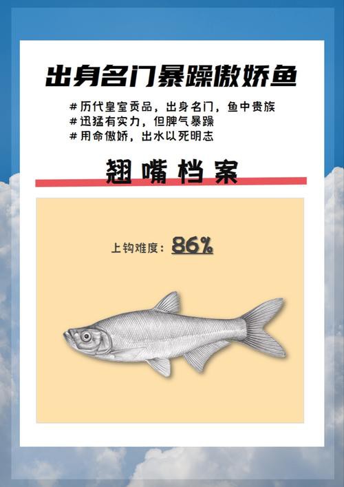 6cm小魚長到20厘米圖片：2019年批次七彩神仙魚成長記錄:七彩神仙魚成長記錄