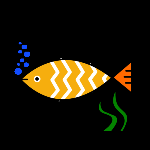 6cm小魚長到20厘米圖片：2019年批次七彩神仙魚成長記錄:七彩神仙魚成長記錄