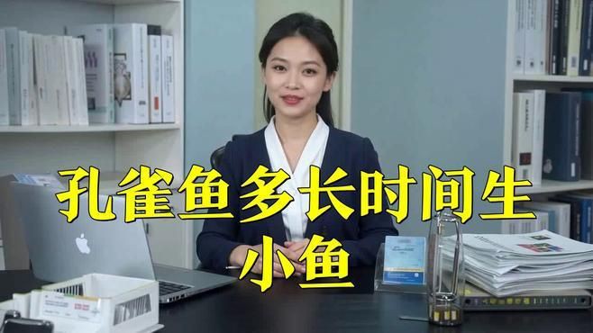 孔雀魚繁殖周期是多久？：孔雀魚多久繁殖一次