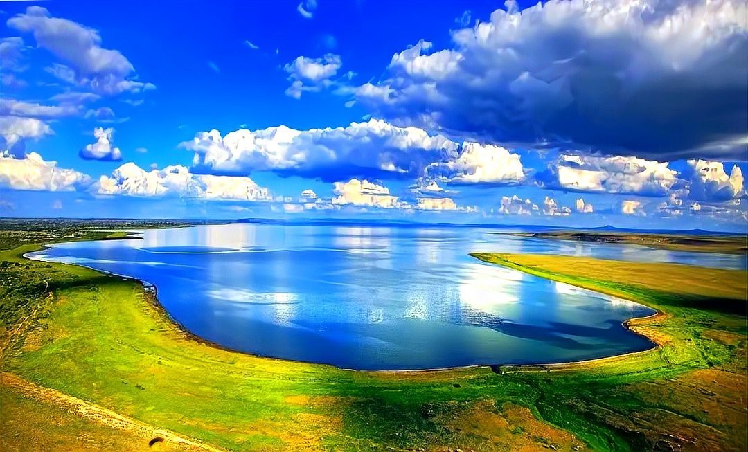 克什克騰龍魚店：克什克騰騰龍魚店在哪里