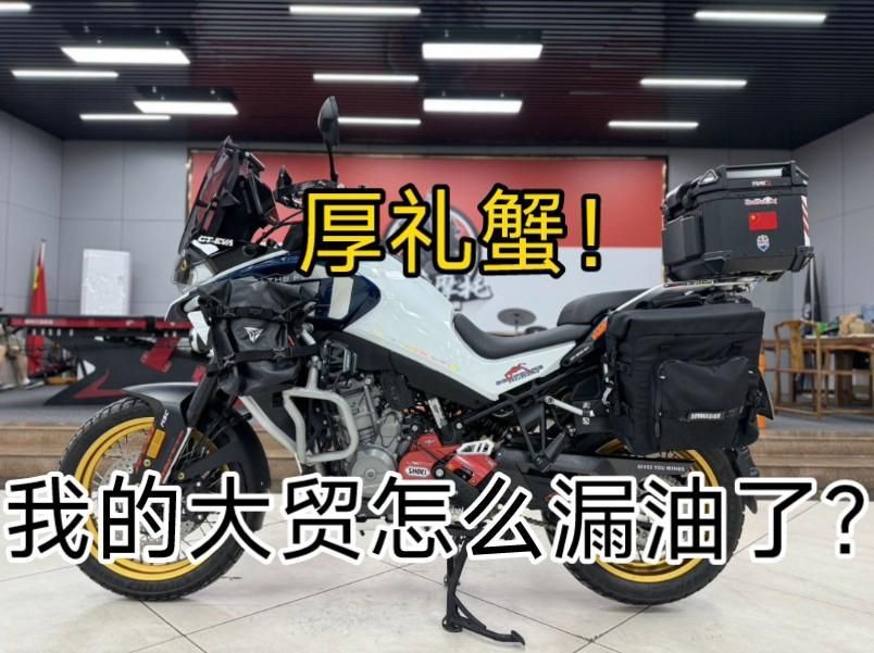 摩托車品牌性能對比評測：多維度摩托車品牌性能對比評測本田雅馬哈/yamaha 摩托車品牌性能對比評測：多維度摩托車品牌性能對比評測本田雅馬哈/yamaha 龍魚百科 第4張