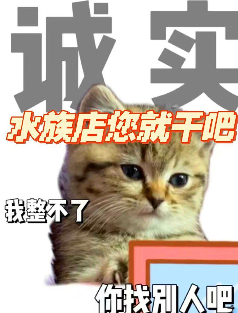 鹽城水族店：鹽城水族店)全球購網(wǎng)鹽城高力家居港可麗愛水族館