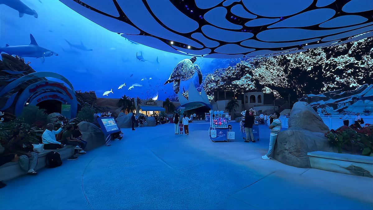 世界最大的水族館在哪個國家？：世界最大的水族館