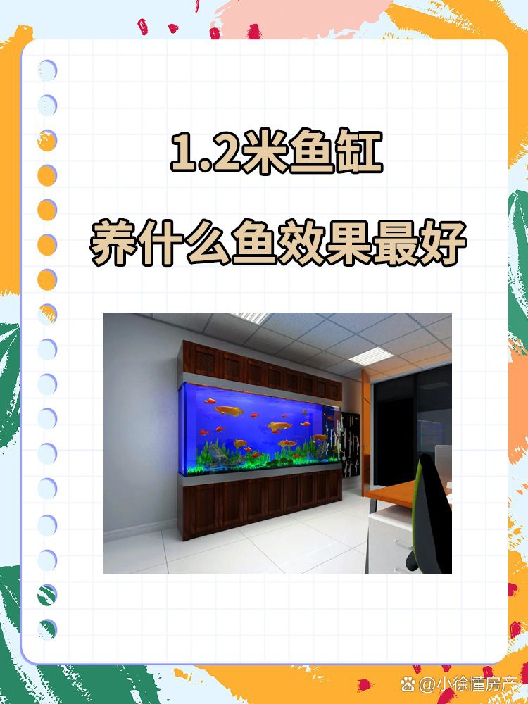 1.2米的魚缸適合養什么魚：1.2米的魚缸適合養哪些熱帶魚擺爛小fish周邊游