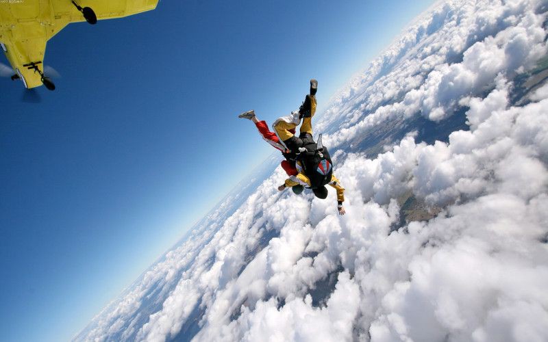 星點龍魚適合什么類型的人飼養？：「星點龍魚」星點龍魚怎么養_星點龍魚能混養嗎