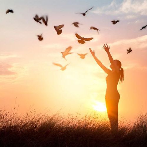 開福寺1~500羅漢解簽：開福寺所奉1至500羅漢解簽體系，展現著悲智雙運的圓滿境界 開福寺1~500羅漢解簽：開福寺所奉1至500羅漢解簽體系，展現著悲智雙運的圓滿境界 龍魚百科 第7張