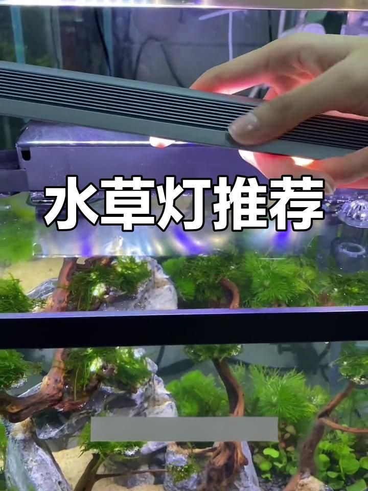吉印水草燈和吉印刀鋒有什么區別：“吉印水草燈”與“吉印刀鋒”兩款產品的核心差異展開分析