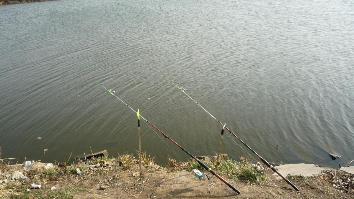 六七斤的鯉魚算大嗎：六七斤的鯉魚在不同語(yǔ)境下具有差異化的評(píng)價(jià)標(biāo)準(zhǔn)