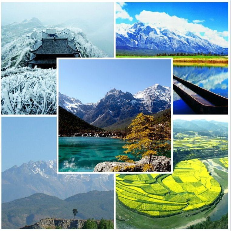 鳳岡水族店：鳳岡水族店地址在哪里 鳳岡水族店：鳳岡水族店地址在哪里 全國水族館企業名錄 第2張