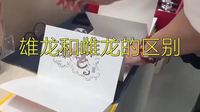 恐龍怎么分辨公母:古生物學家教你肉眼辨性別 龍魚百科 第3張 恐龍怎么分辨公母:古生物學家教你肉眼辨性別 恐龍怎么分辨公母:古生物學家教你肉眼辨性別 龍魚百科 第3張