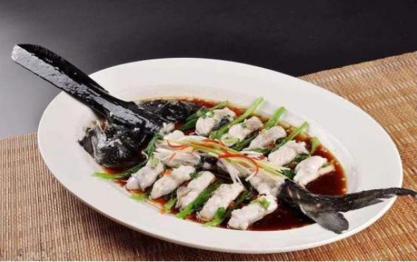 世界上最鴨嘴魚有少斤：鴨嘴魚——美國“鴨嘴魚” 世界上最鴨嘴魚有少斤：鴨嘴魚——美國“鴨嘴魚” 龍魚論壇 第4張
