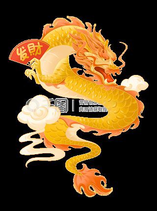 有哪些適合混養龍魚的魚種？：招財金龍壁紙資源及推薦