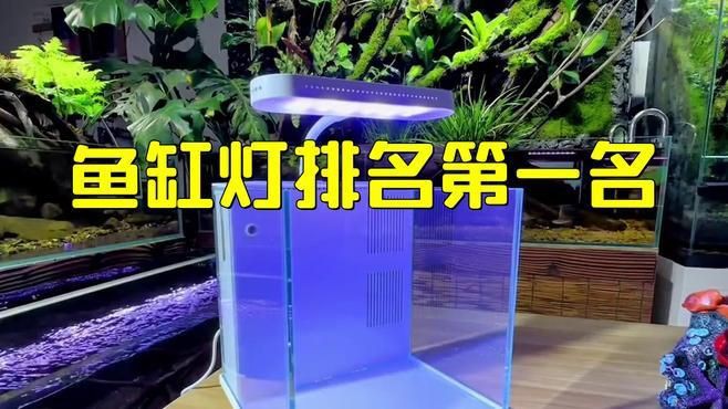 吉印和森森的燈哪家好：“吉印”與“森森”兩大燈具品牌的優(yōu)劣對比分析