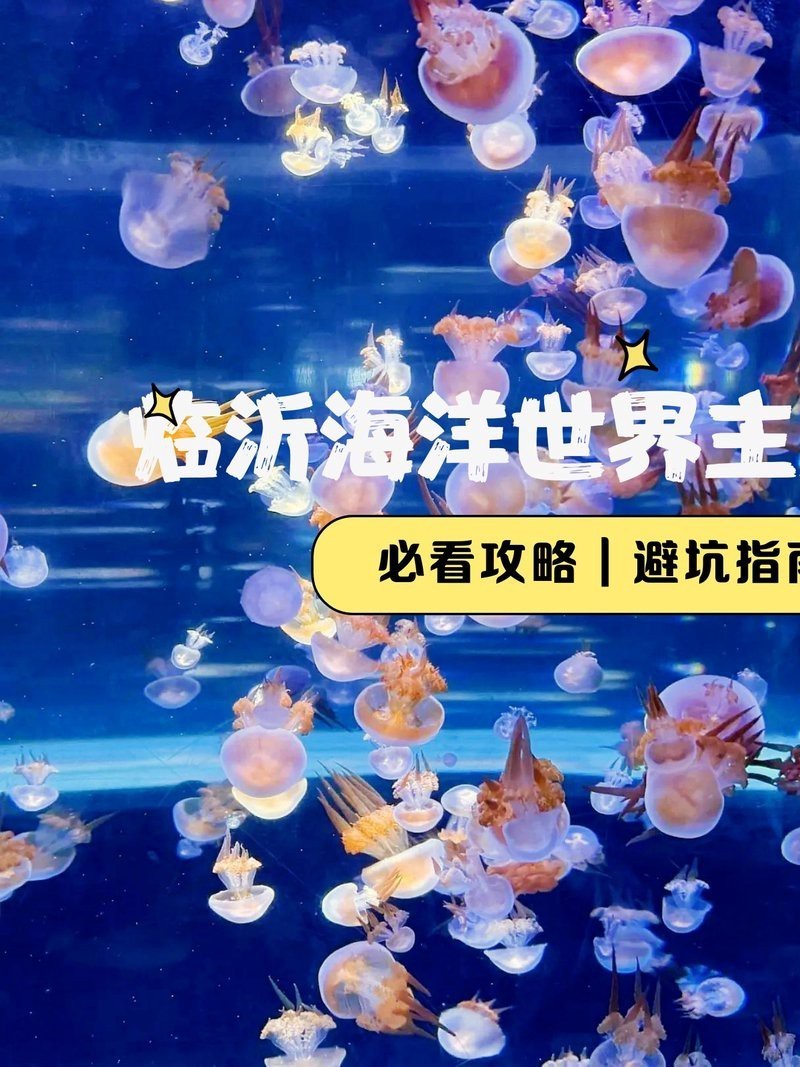 臨沂水族店：臨沂水族店哪家口碑最好 臨沂水族店：臨沂水族店哪家口碑最好 全國水族館企業名錄 第4張