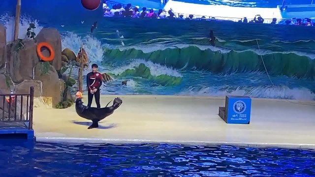 臨沂水族店：臨沂水族店哪家口碑最好 臨沂水族店：臨沂水族店哪家口碑最好 全國水族館企業名錄 第1張