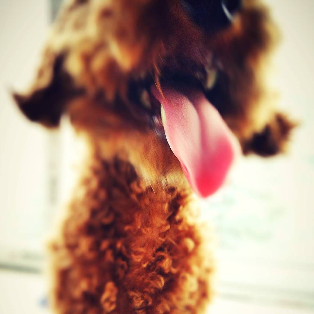 來賓魚缸維護：來賓魚缸專業維護方案 來賓魚缸維護：來賓魚缸專業維護方案 全國水族館企業名錄 第9張