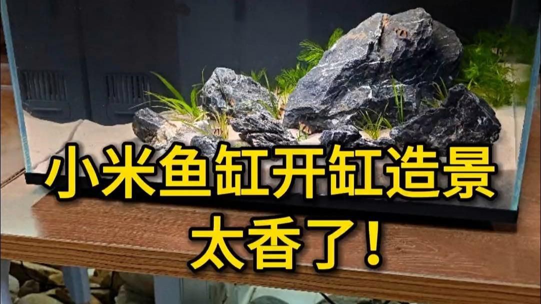 家庭水族箱布置技巧:家庭水族箱如何布置? 龍魚(yú)百科 第3張 家庭水族箱布置技巧:家庭水族箱如何布置? 家庭水族箱布置技巧:家庭水族箱如何布置? 龍魚(yú)百科 第3張